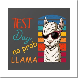 Test Day No Prob-Llama Posters and Art